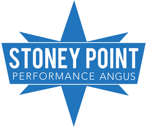 Stoney-Point-Logo-web-small